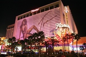 flamingo casino