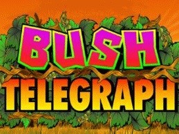 bush telegraph slot